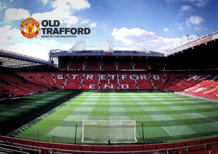 在这个特殊 在这个特殊